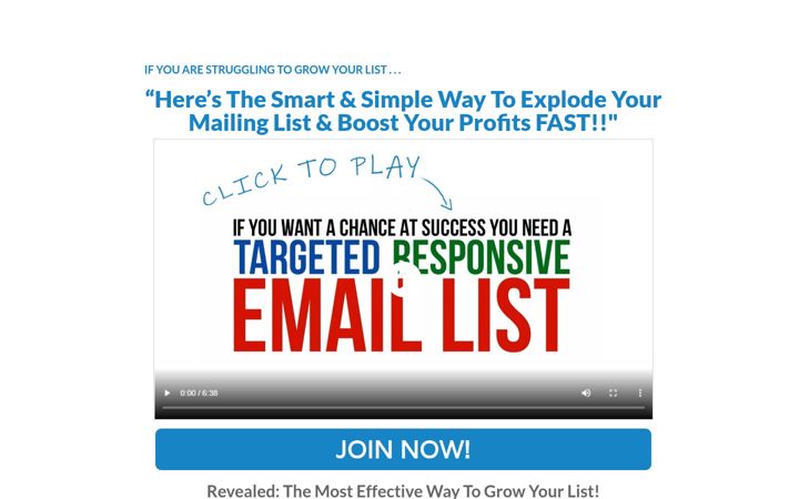 Screenshot of automatedlistprofits.com