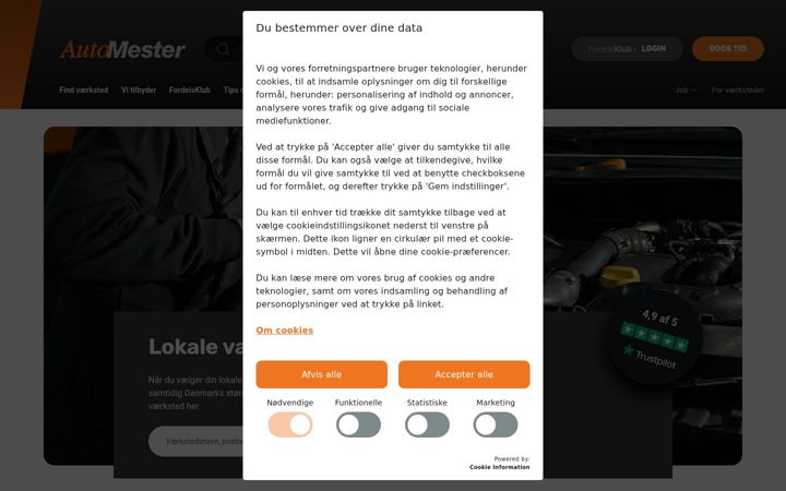 Screenshot of automester.dk