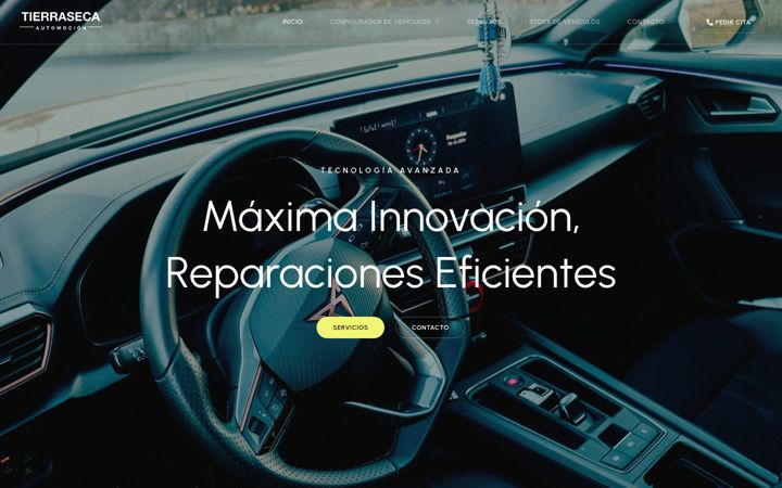 Screenshot of automociontierraseca.com