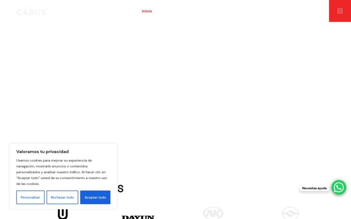 Skærmbillede af automotorescabus.com