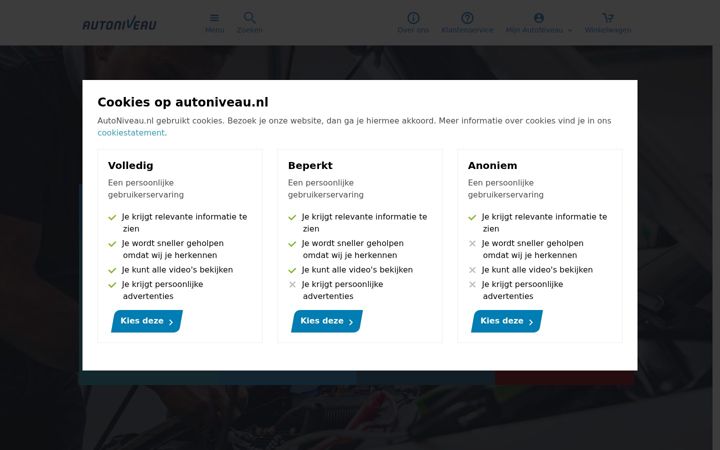 Screenshot of autoniveau.nl