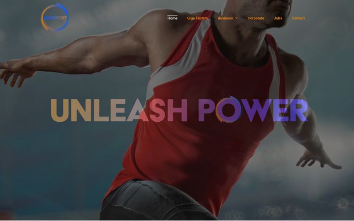 Screenshot of autoportpower.in