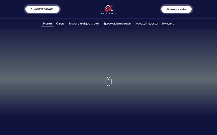 Screenshot ta' autoprofit.pl