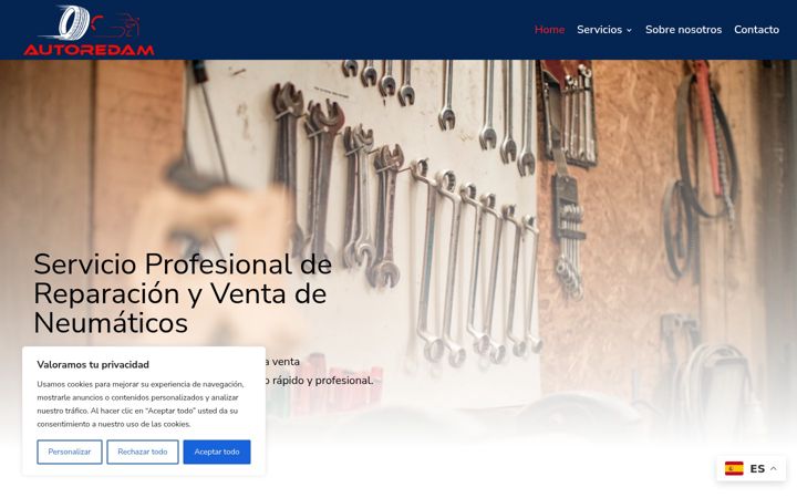 Screenshot of autoredam.com