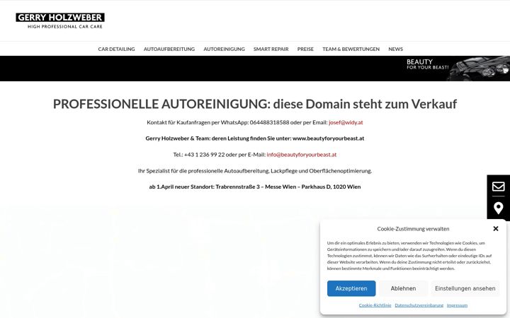 Screenshot of autoreinigung.wien