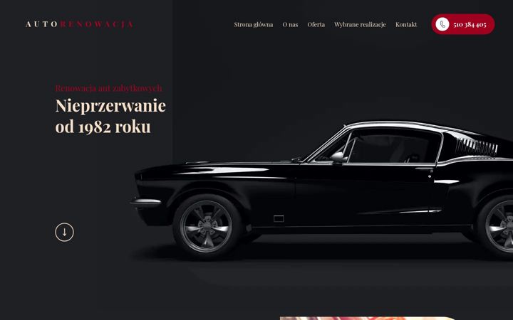 Screenshot of autorenowacja.pl