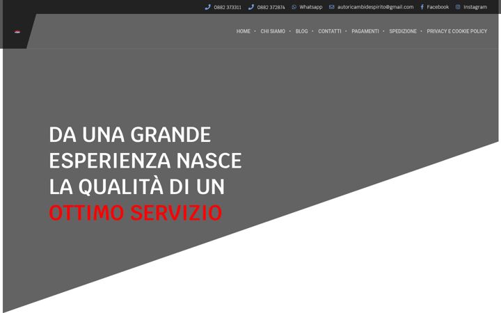 Screenshot of autoricambi-store.com
