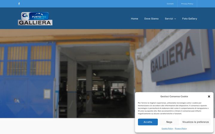 Screenshot of autorimessagalliera.it