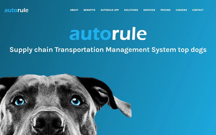 Screenshot of autorule-technology.com