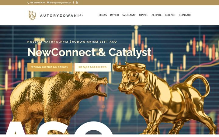 Screenshot of autoryzowani.pl