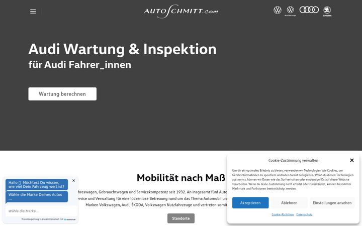 Snimka zaslona za autoschmitt.com