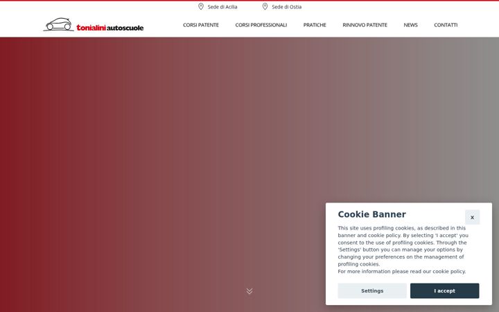 Screenshot of autoscuoletonialini.it