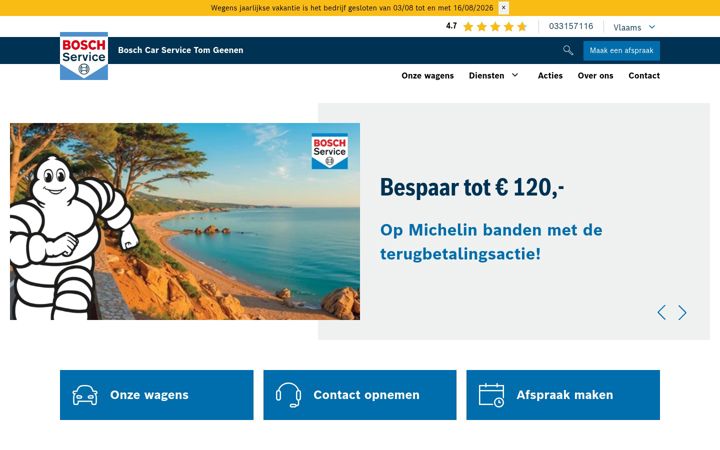 Screenshot of autoservicetomgeenen.be