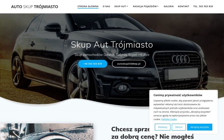 Screenshot of autoskuptrojmiasto.pl