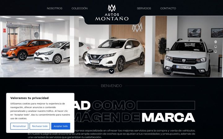 Screenshot of autosmontano.com