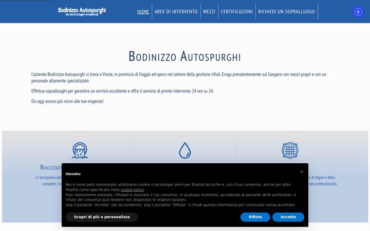 Screenshot of autospurghibodinizzo.it