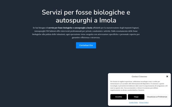 Screenshot of autospurghisabioni.com