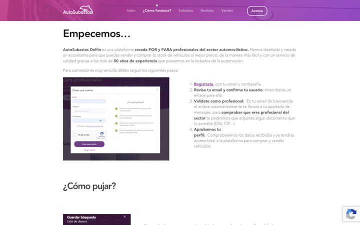 Skjermbilde av autosubastasdelfin.es