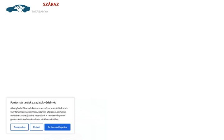 Screenshot of autoszerviztatabanya.hu