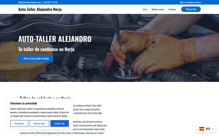Screenshot of autotalleralejandro.com