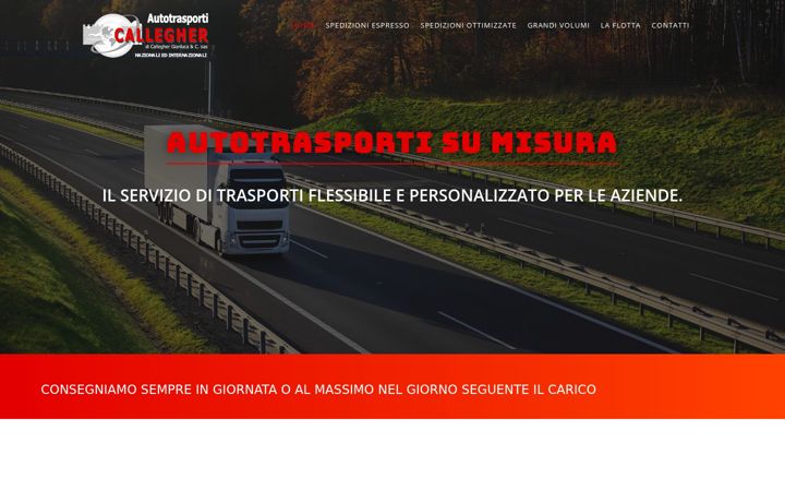 Screenshot ta' autotrasporticallegher.it