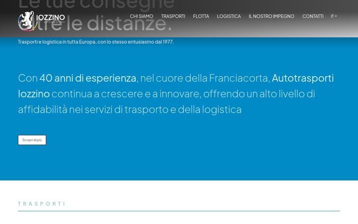 Skärmbild av autotrasportiiozzino.it