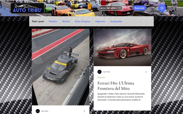 Screenshot of autotribu.com