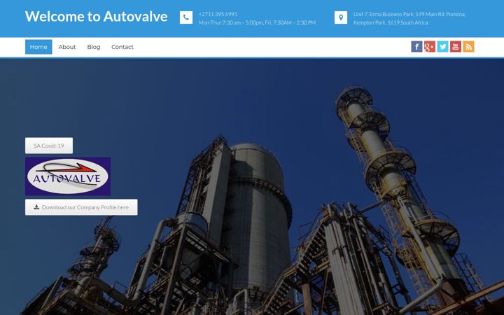 Screenshot of autovalve.co.za
