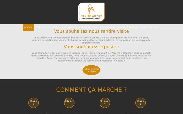 Screenshot of auvidegrenier-magasins.fr