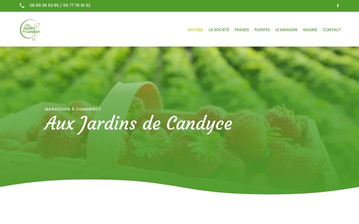 Screenshot of aux-jardins-de-candyce.fr