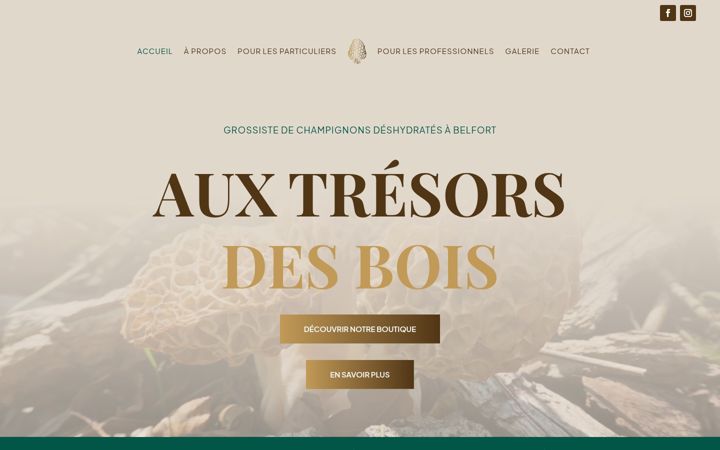 Screenshot of aux-tresorsdesbois.fr
