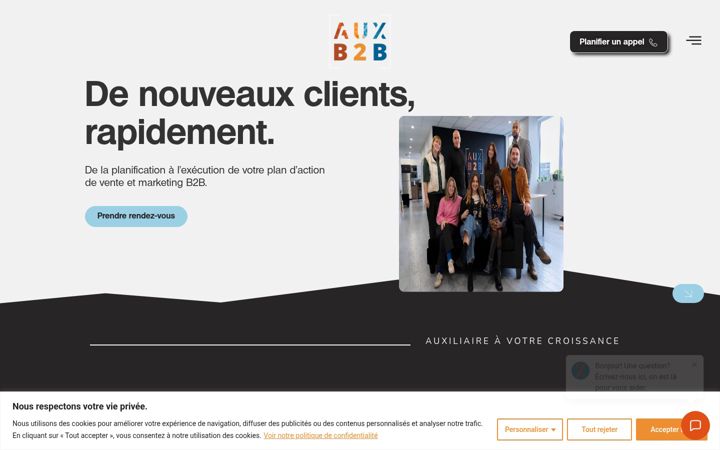 Screenshot of auxb2b.com