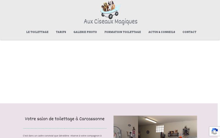 Captură de ecran a auxciseauxmagiques.fr