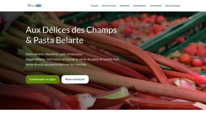 Skjámynd af auxdelicesdeschamps.fr
