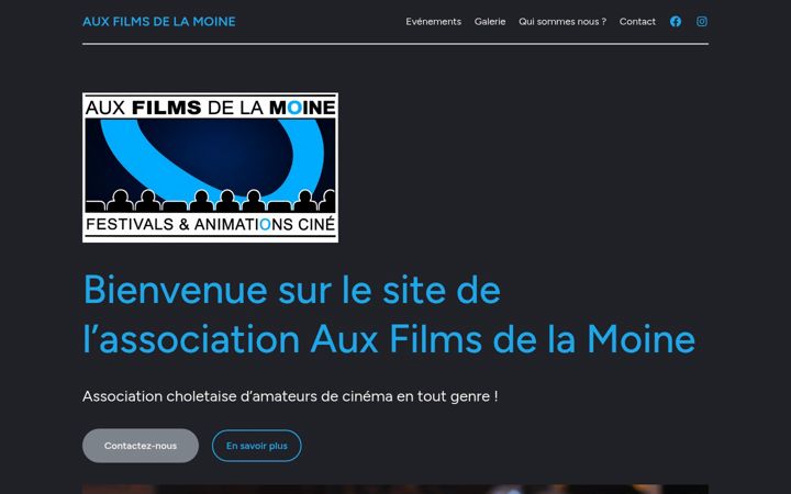 Screenshot of auxfilmsdelamoine.com