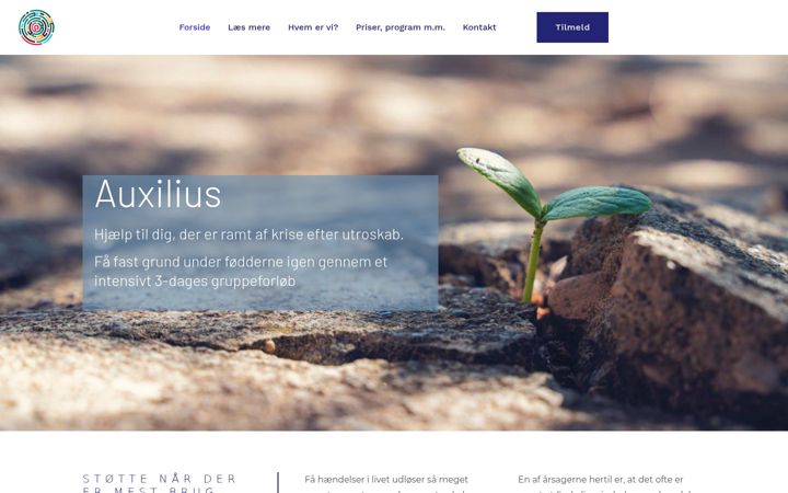 Screenshot of auxilius.dk