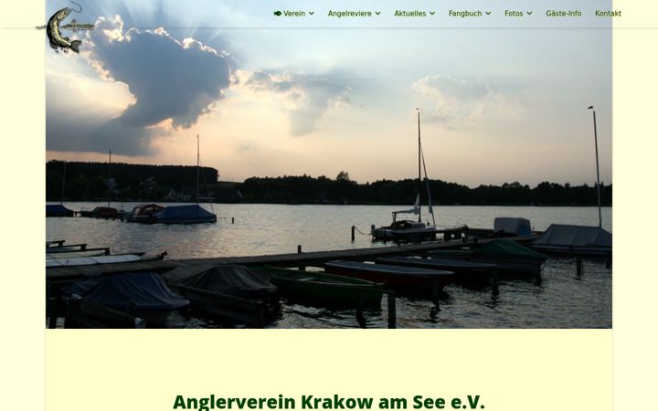 Screenshot of av-krakow.de