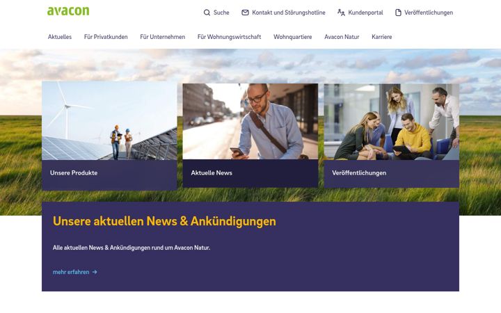 Screenshot of avacon-natur.de
