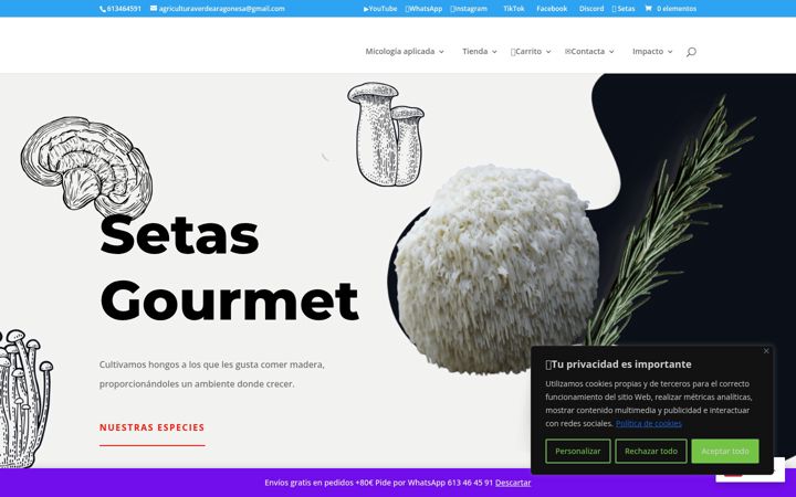 Screenshot of avacoop.com