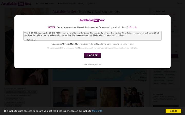 Screenshot of availableforsex.com