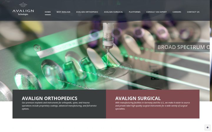 Screenshot of avaligntechnologies.com