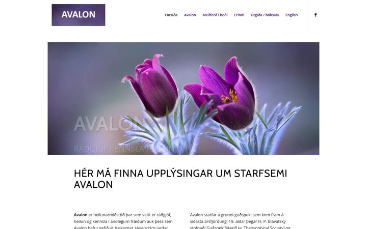 Screenshot of avalon.is