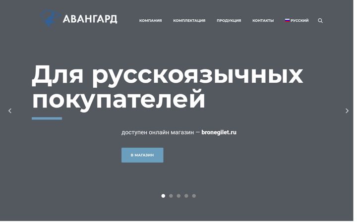 Screenshot of avangard.ooo