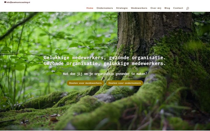 Screenshot of avanhoorncoaching.nl