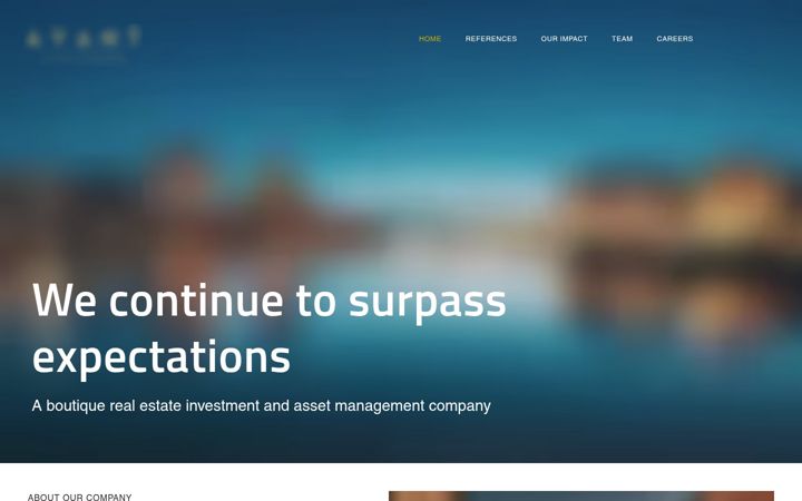 Screenshot di avantcap.fi