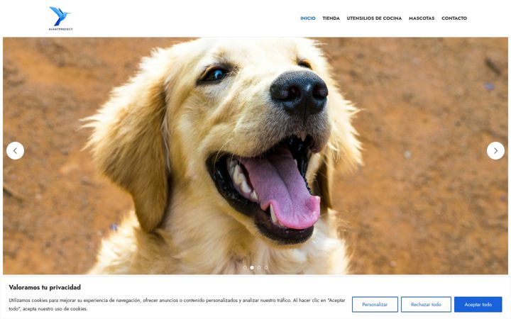 Screenshot of avantproyect.com