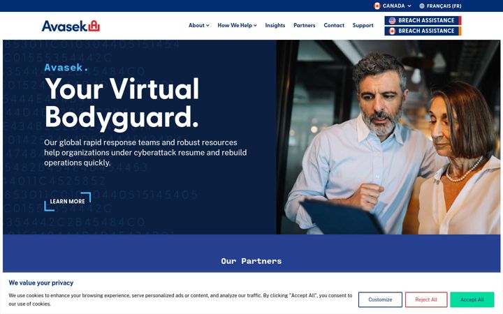 Screenshot of avasek.ca