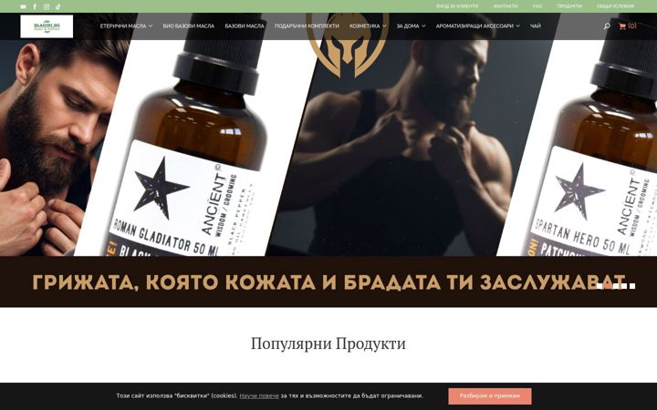 Screenshot of avaseptic.eu