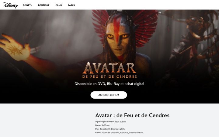Screenshot of avatarfireandashmovie.fr