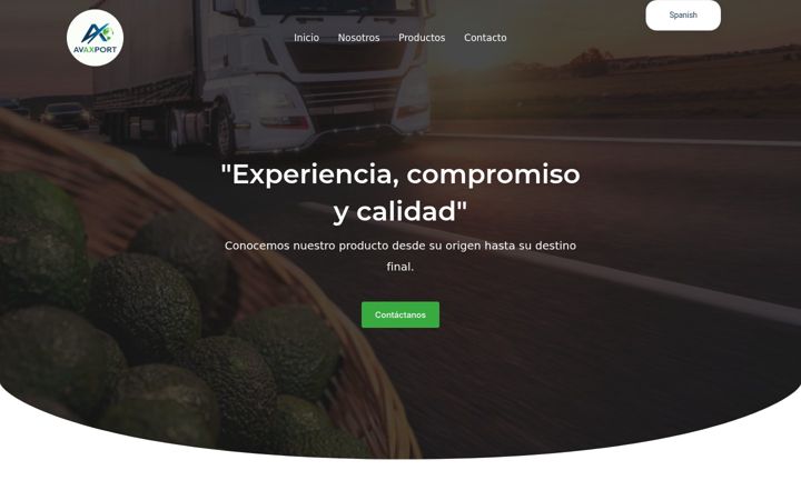 Screenshot of avaxport.com